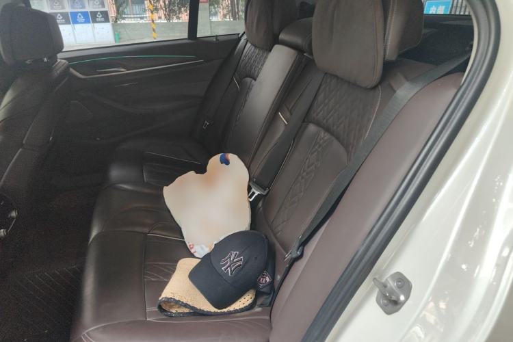 Used BMW 5 Series 2020 530Li Luxury Edition Premium Package Left Rear Seat