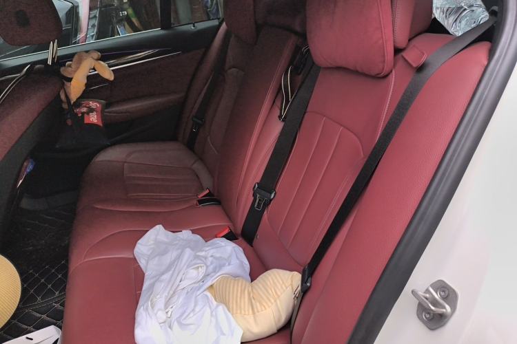 Used BMW 5 Series 2020 530Li Leading Model M Sport Package Left Rear Seat