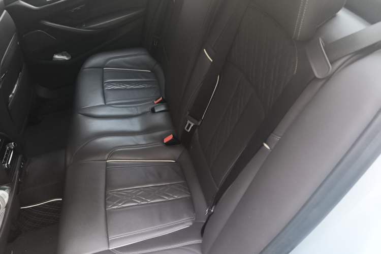 Used BMW 5 Series 2020 530Li Luxury Edition Premium Package Left Rear Seat