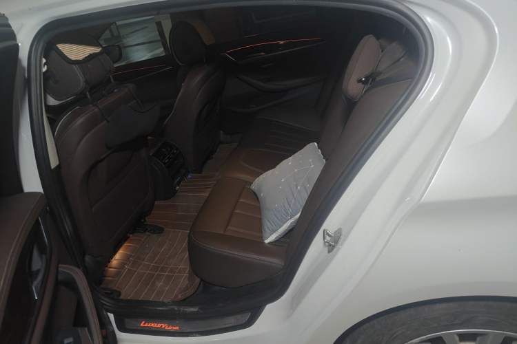 Used BMW 5 Series 2020 525Li Luxury Package Left Rear Seat