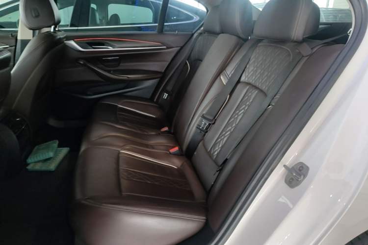 Used BMW 5 Series 2020 530Li Leading Edition Luxury Package Left Rear Seat