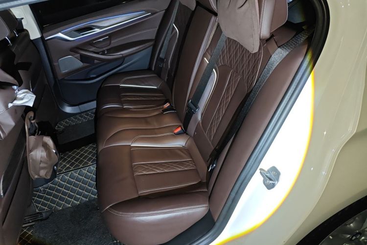 Used BMW 5 Series 2020 530Li xDrive Luxury Package Left Rear Seat