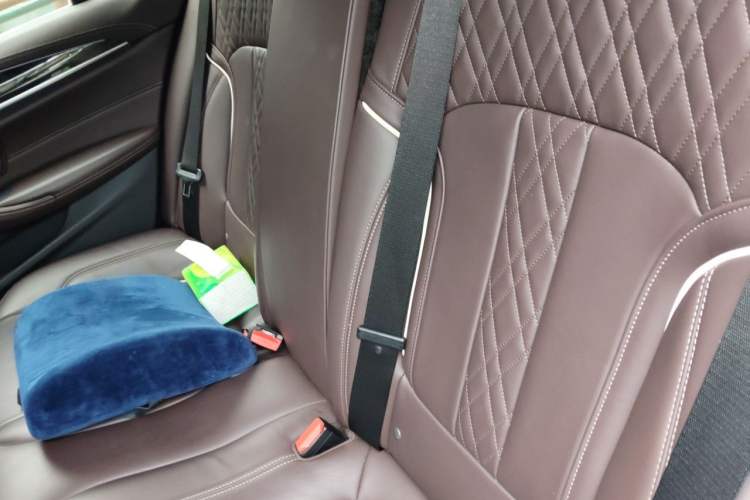 Used BMW 5 Series 2020 530Li Luxury Edition M Sport Package Left Rear Seat