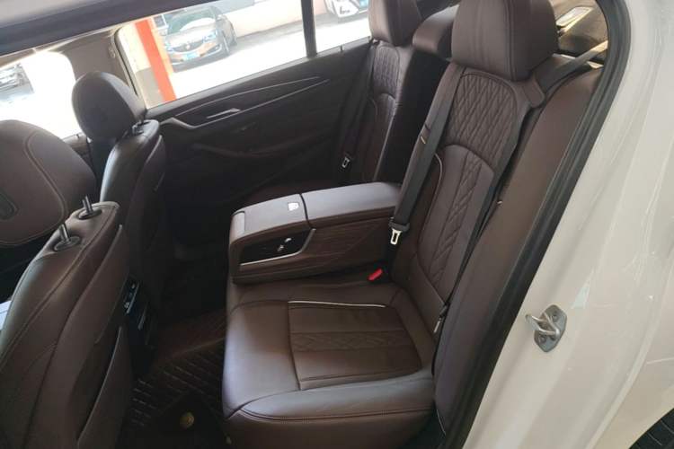 Used BMW 5 Series 2020 530Li Leading Edition Luxury Package Left Rear Seat