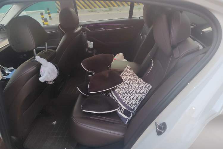 Used BMW 5 Series 2020 530Li xDrive Luxury Package Left Rear Seat