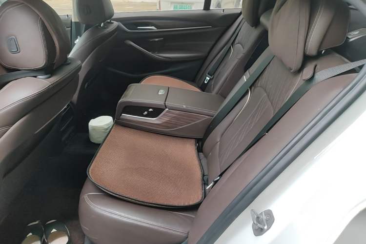 Used BMW 5 Series 2020 530Li xDrive Luxury Package Left Rear Seat