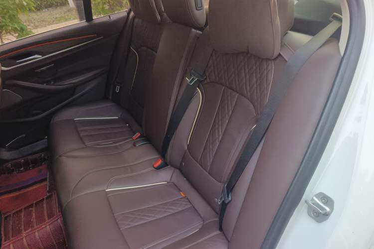 Used BMW 5 Series 2020 530Li xDrive Luxury Package Left Rear Seat