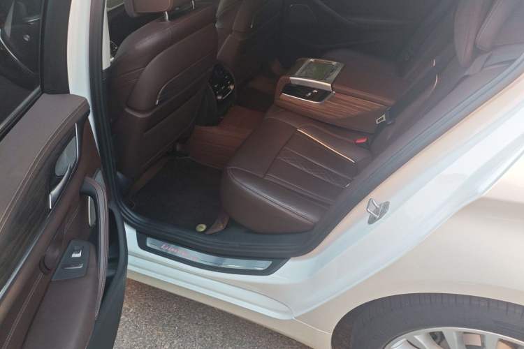 Used BMW 5 Series 2020 530Li Luxury Edition Premium Package Left Rear Seat