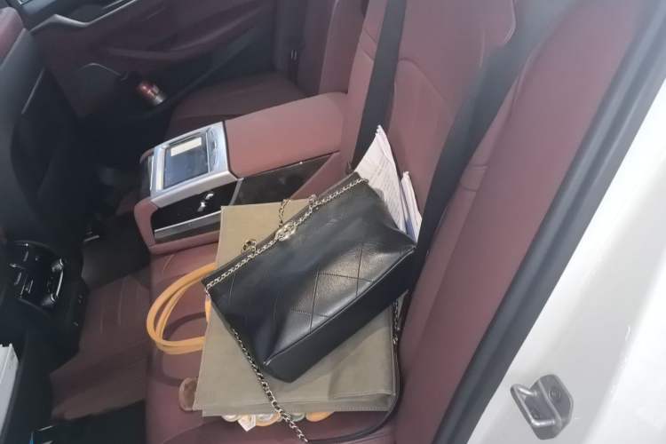 Used BMW 5 Series 2020 530Li xDrive M Sport Package Left Rear Seat