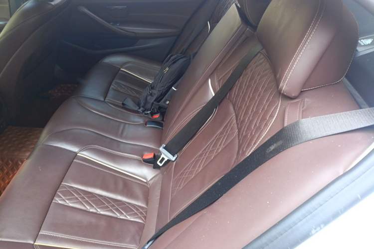 Used BMW 5 Series 2020 530Li Leading Edition Luxury Package Left Rear Seat