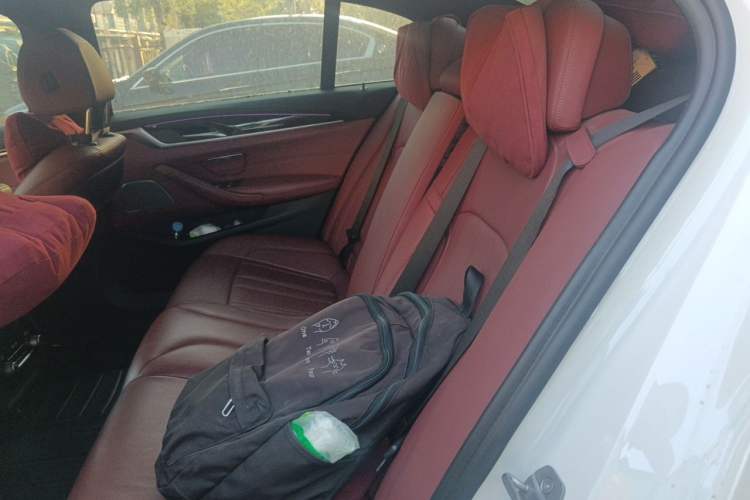 Used BMW 5 Series 2020 530Li Luxury Edition M Sport Package Left Rear Seat