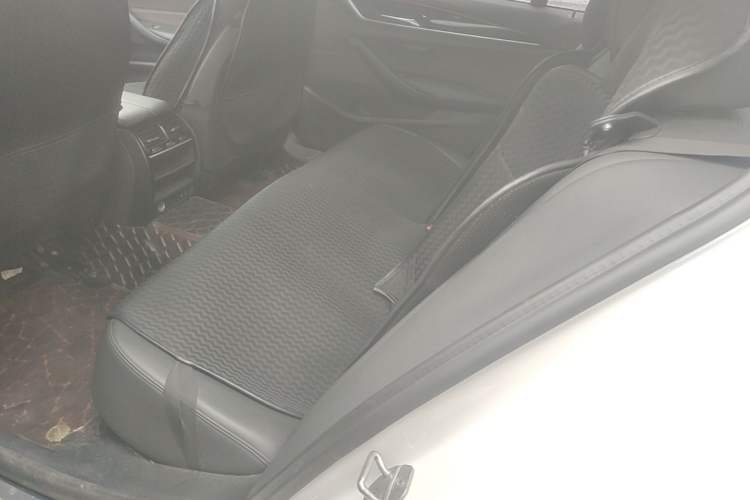 Used BMW 5 Series 2020 525Li Luxury Package Left Rear Seat