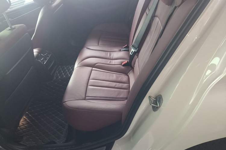 Used BMW 5 Series 2020 530Li Leading Model M Sport Package Left Rear Seat