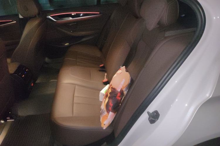 Used BMW 5 Series 2020 525Li Luxury Package Left Rear Seat