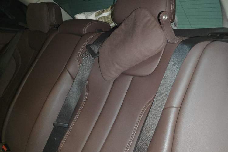 Used BMW 5 Series 2020 525Li Luxury Package Left Rear Seat
