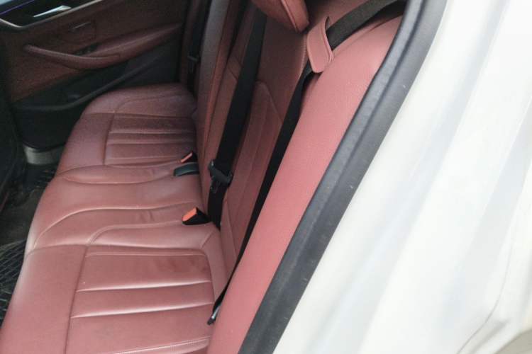 Used BMW 5 Series 2020 530Li Leading Model M Sport Package Left Rear Seat