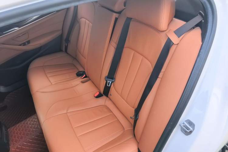 Used BMW 5 Series 2020 530Li Leading Model M Sport Package Left Rear Seat