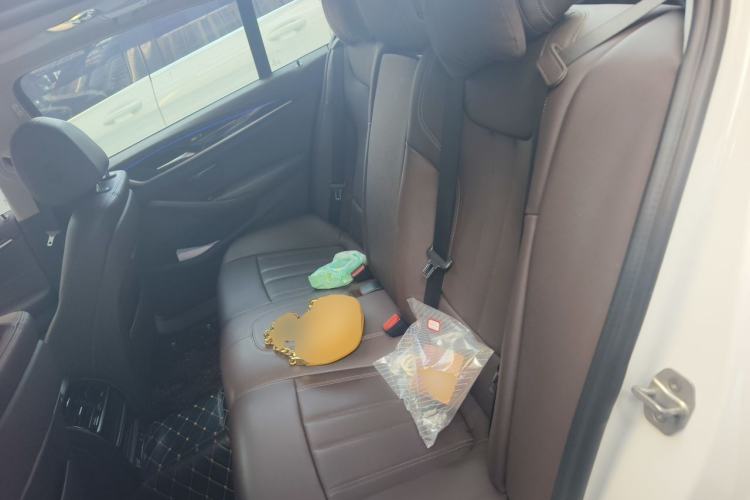 Used BMW 5 Series 2020 525Li Luxury Package Left Rear Seat