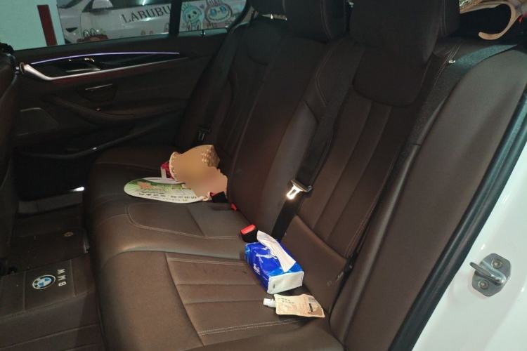 Used BMW 5 Series 2020 525Li Luxury Package Left Rear Seat
