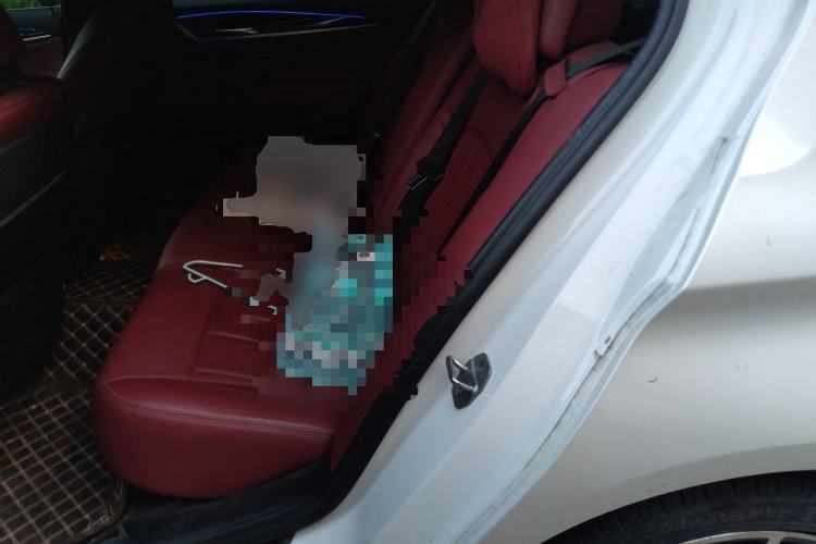 Used BMW 5 Series 2020 530Li Leading Model M Sport Package Left Rear Seat