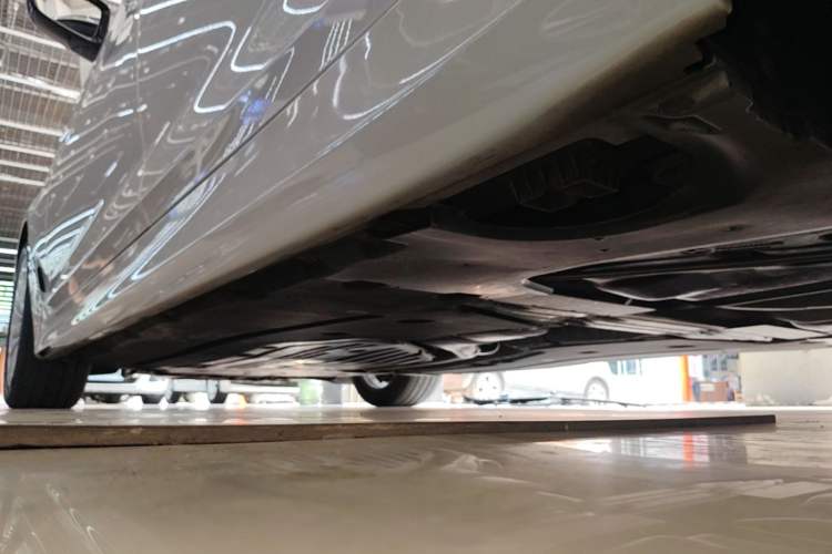Used BMW 5 Series 2020 530Li Leading Edition Luxury Package Left Side Sill