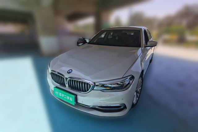 Used BMW 5 Series 2020 530Li Leading Edition Luxury Package