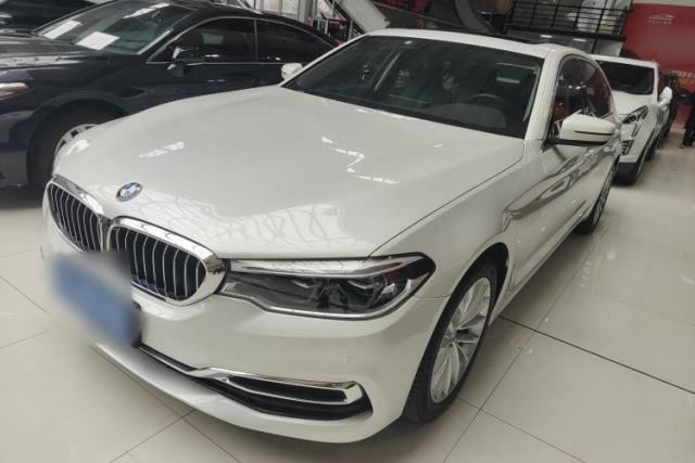 Used BMW 5 Series 2020 530Li Leading Edition Luxury Package