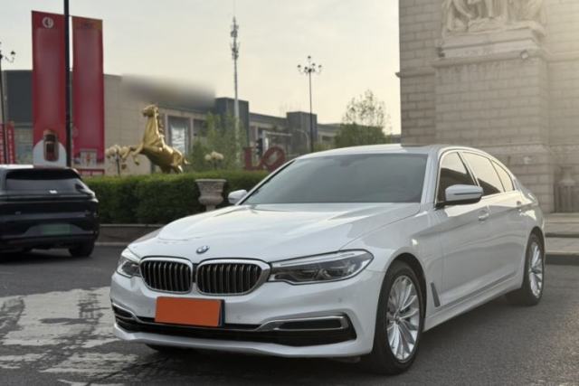 Used BMW 5 Series 2020 530Li Leading Edition Luxury Package