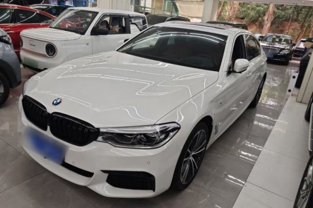Used BMW 5 Series 2020 530Li Luxury Edition M Sport Package