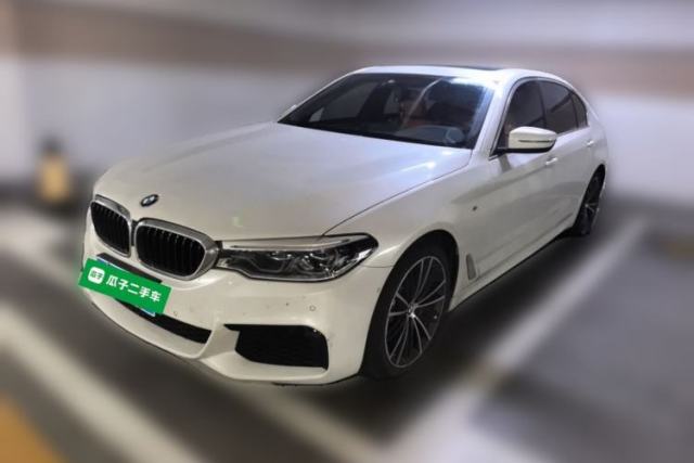 BMW 5 Series 2020 530Li Leading Model M Sport Package usado
