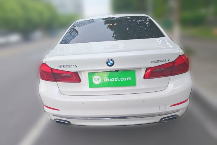 Used BMW 5 Series 2020 530Li Luxury Edition Premium Package Rear