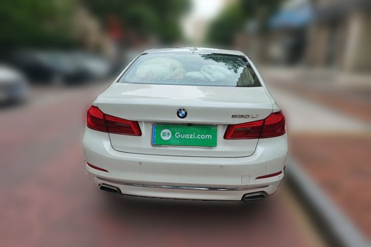 Used BMW 5 Series 2020 530Li Leading Edition Luxury Package Rear