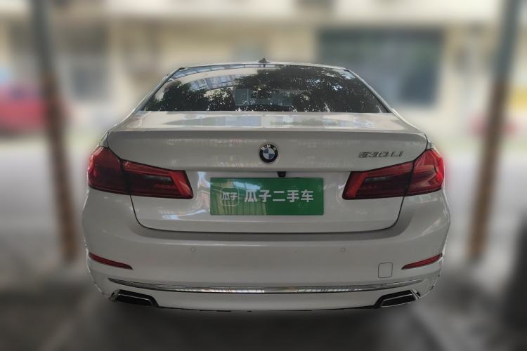 Used BMW 5 Series 2020 530Li Luxury Edition Premium Package Rear
