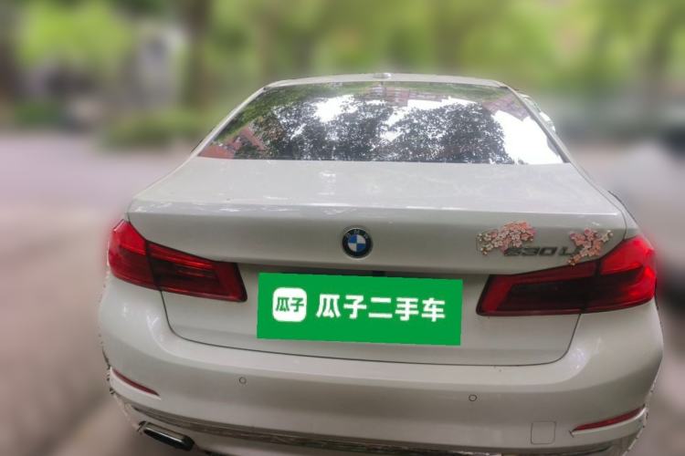 Used BMW 5 Series 2020 530Li Luxury Edition Premium Package Rear