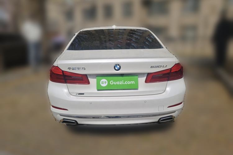 Used BMW 5 Series 2020 530Li xDrive Luxury Package Rear