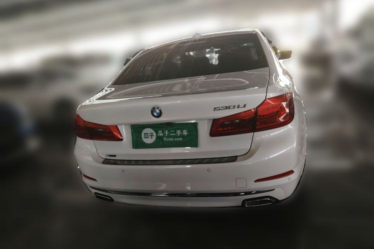 Used BMW 5 Series 2020 530Li xDrive Luxury Package Rear