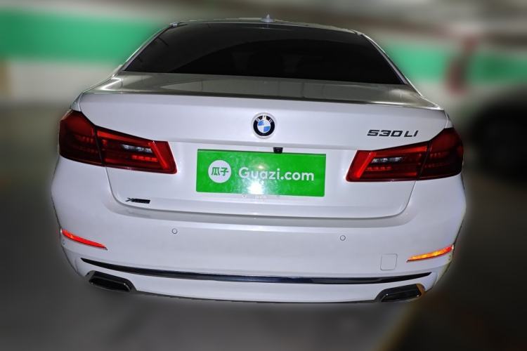 Used BMW 5 Series 2020 530Li xDrive Luxury Package Rear