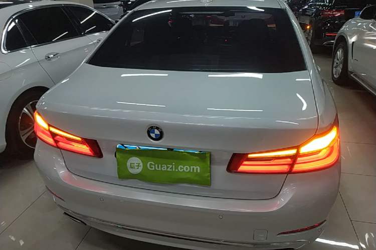 Used BMW 5 Series 2020 525Li Luxury Package Rear