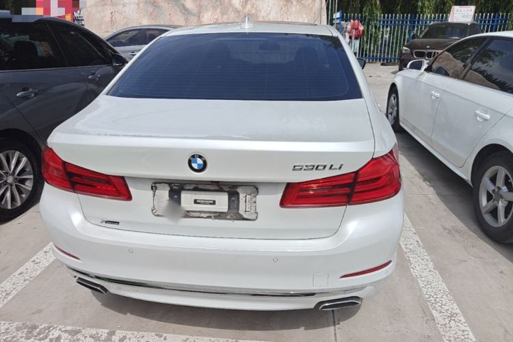 Used BMW 5 Series 2020 530Li xDrive Luxury Package Rear