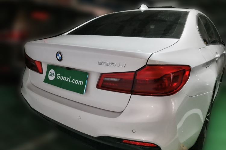 Used BMW 5 Series 2020 530Li Luxury Edition M Sport Package Rear