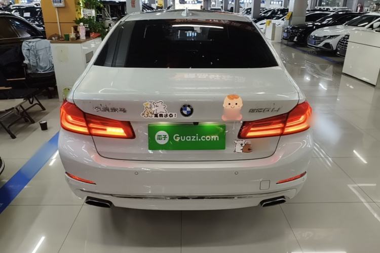 Used BMW 5 Series 2020 530Li Luxury Edition Premium Package Rear