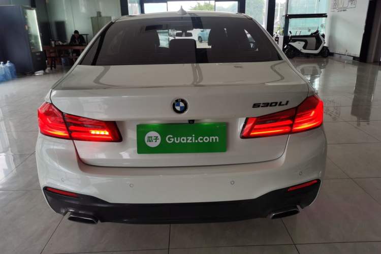 Used BMW 5 Series 2020 525Li M Sport Package Rear