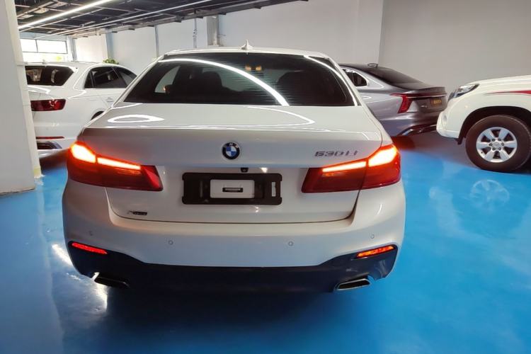 Used BMW 5 Series 2020 530Li xDrive M Sport Package Rear