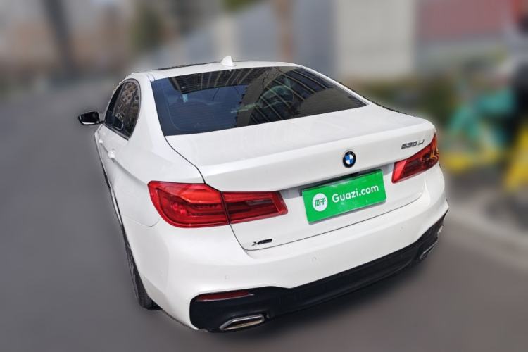Used BMW 5 Series 2020 530Li xDrive M Sport Package Rear Left 45 Deg