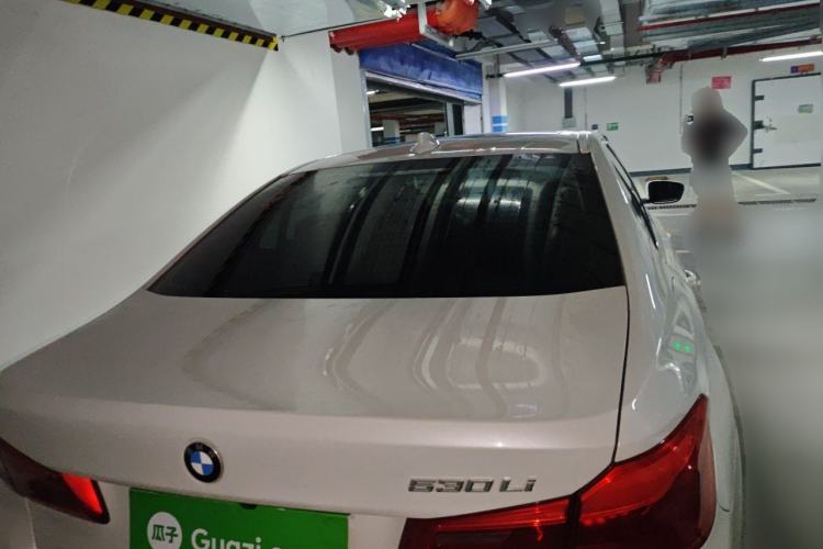 Used BMW 5 Series 2020 530Li Leading Edition Luxury Package Rear