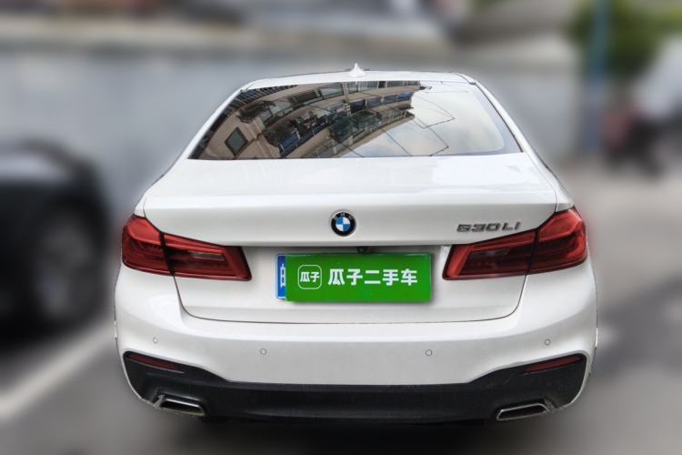 Used BMW 5 Series 2020 530Li Leading Model M Sport Package Rear