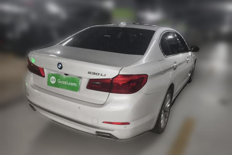 Used BMW 5 Series 2020 530Li Leading Edition Luxury Package Rear Right 45 Deg