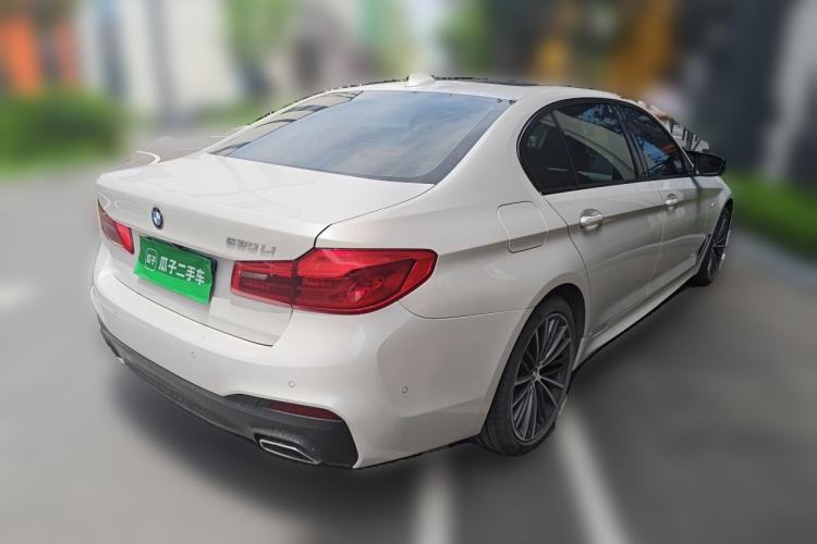 Used BMW 5 Series 2020 530Li Luxury Edition M Sport Package Rear Right 45 Deg