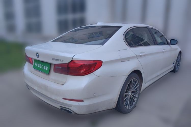 Used BMW 5 Series 2020 530Li Luxury Edition Premium Package Rear Right 45 Deg
