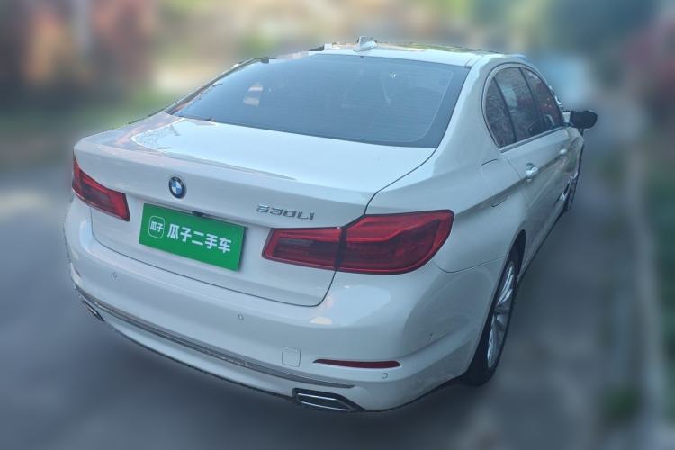Used BMW 5 Series 2020 530Li Luxury Edition Premium Package Rear Right 45 Deg